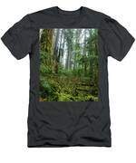 Misty Forest Silhouettes In Olympic National Park T-Shirt