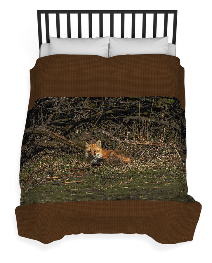 Fox Resting In Sunlit Clearing Duvet Cover