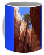 Tree Reaches Skyward In Bryce Canyon National Park Coffee Mug