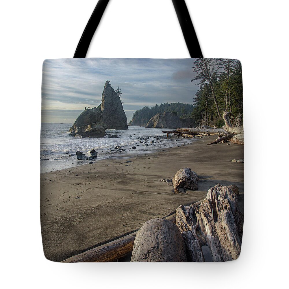 Rugged Coastal Landscape Tote Bag