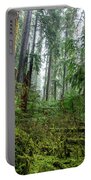 Misty Forest Silhouettes In Olympic National Park Portable Battery Charger