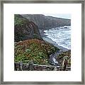 Rocky Coastline With Vibrant Foliage Framed Print