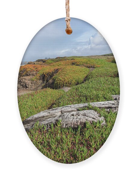 Coastal Landscape with Driftwood Ornament
