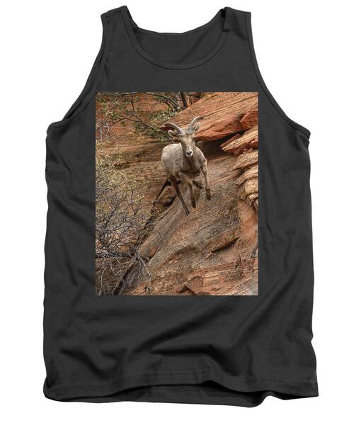 Big Horn Sheep Agile Descent In Zion National Park Tank Top