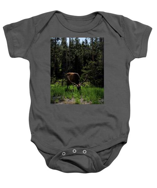 Elk Grazing In A Sunlit Forest In Grand Teton National Park Baby One-Piece
