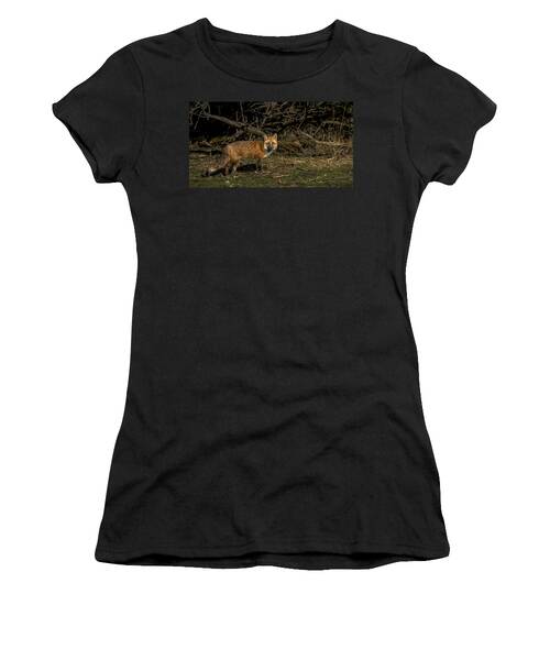 Fox In Sunlit Forest Clearing Women's T-Shirt