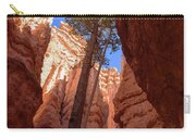 Tree Reaches Skyward In Bryce Canyon National Park Zip Pouch