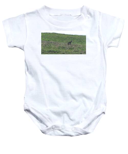 Bobcat in Point Reyes Baby One-Piece by Brandon Wichmann