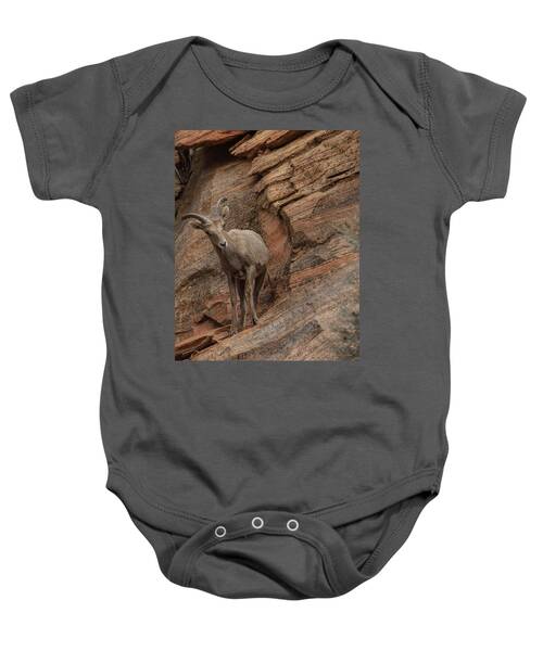 Bighorn Sheep On Rocky Terrain Baby One-Piece
