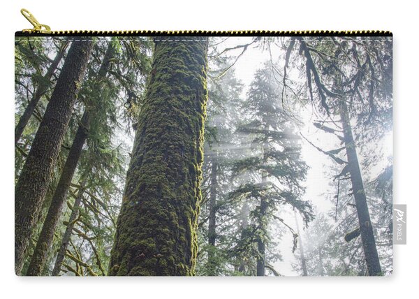 Majestic Forest Canopy In Olympic National Park Zip Pouch