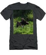 Moose Resting In Sunlit Meadow In Grand Teton National Park T-Shirt