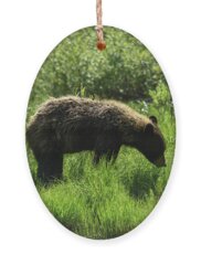 Grand Teton National Park Ornaments