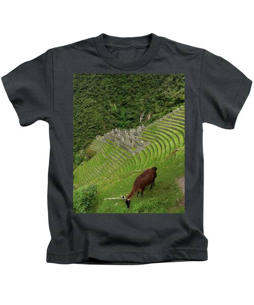 Winay Wayna With Grazing Llama Kids T-Shirt