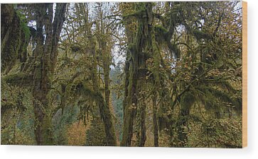 Tree Wood Prints