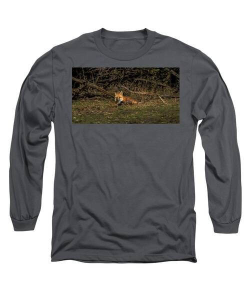 Fox Resting In Sunlit Clearing Long Sleeve T-Shirt