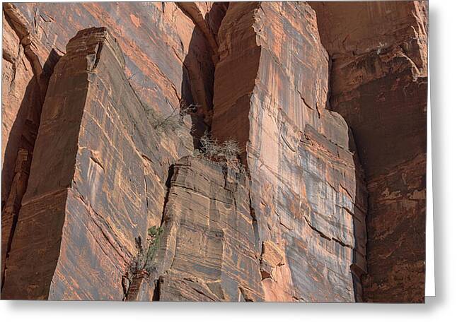 Towering Desert Sandstone Cliffs In Zion National Park Greeting Card