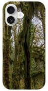 Moss-Covered Trees in a Dense Forest iPhone Case