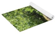 Solitary Bear In Grand Teton National Park Yoga Mat