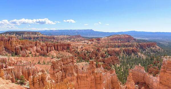 Bryce Canyon National Park Landscape Art Print