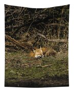 Peaceful Fox In Sunlit Meadow Tapestry