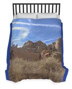 Desert Cliffs In Capitol Reef National Park Duvet Cover