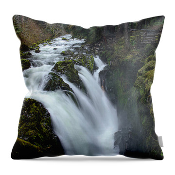Olympic National Park Throw Pillows
