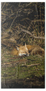 Peaceful Fox in Sunlit Meadow Hand Towel by Brandon Wichmann
