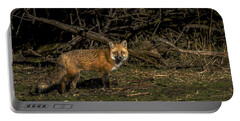 Fox In Sunlit Forest Clearing Portable Battery Charger