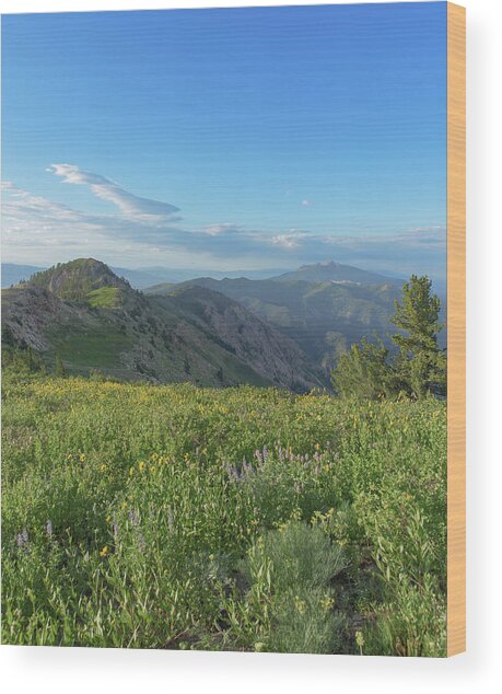 Mountain View with Wildflowers Wood Print
