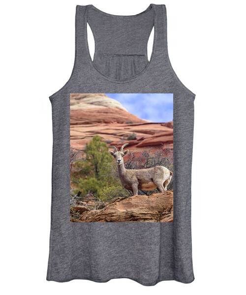 Big Horn Sheep In Zion National Park Women's Tank Top