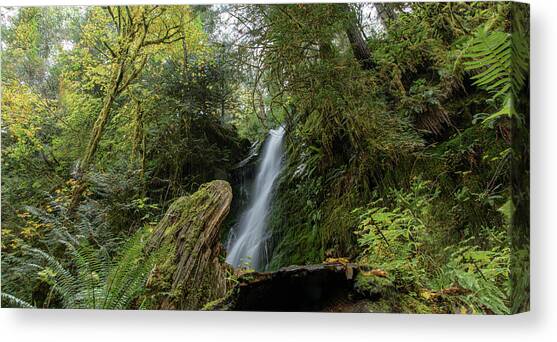 Serene Waterfall in Lush Rainforest Canvas Art Print by Brandon Wichmann