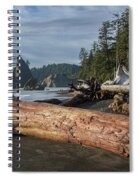 Driftwood on a Pebbled Beach Spiral Notebook