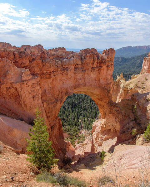 Majestic Natural Rock Arch In Bryce Canyon National Park Poster