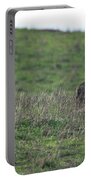 Bobcat in Point Reyes Portable Battery Charger by Brandon Wichmann