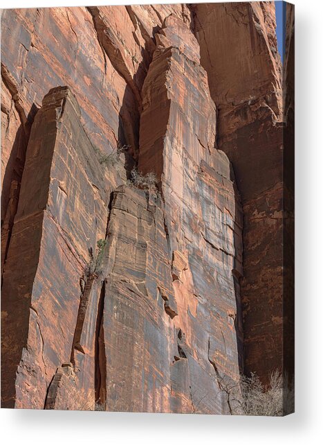 Towering Desert Sandstone Cliffs In Zion National Park Acrylic Print