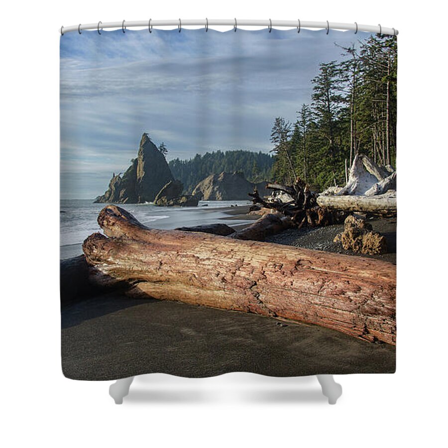 Driftwood on a Pebbled Beach Shower Curtain