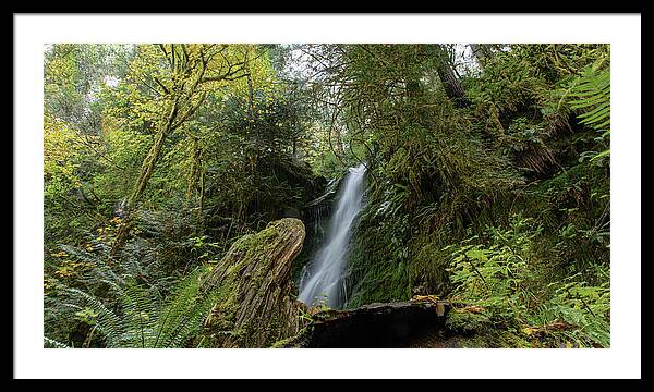 Serene Waterfall in Lush Forest Framed Print