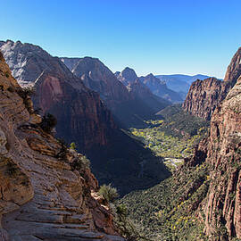 Breathtaking Zion Canyon View by Brandon Wichmann