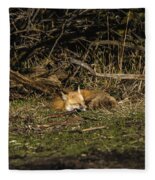 Peaceful Fox In Sunlit Meadow Fleece Blanket