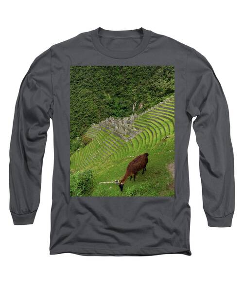 Winay Wayna With Grazing Llama Long Sleeve T-Shirt