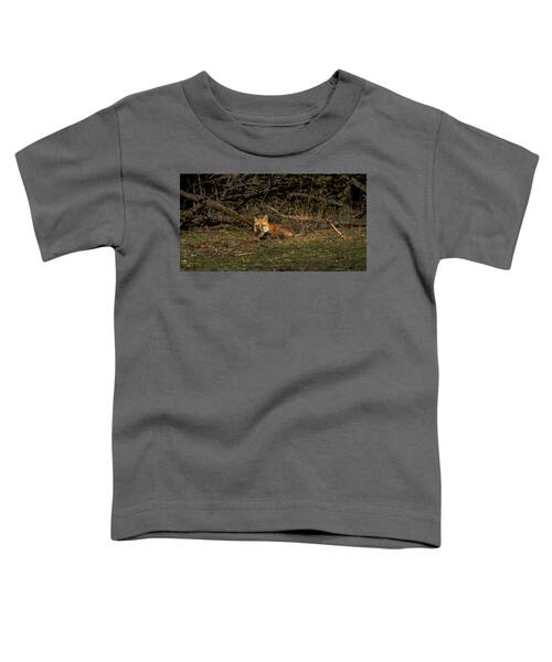 Fox Resting In Sunlit Clearing Toddler T-Shirt