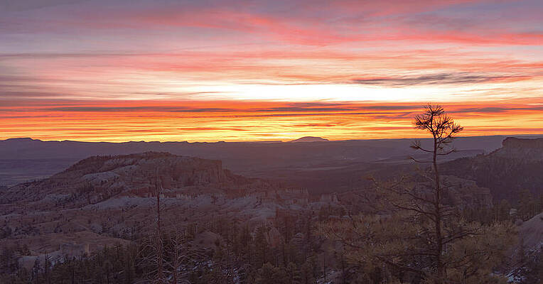 Wall Art featuring the photograph Serene Mountain Sunrise In Bryce Canyon National Park by Brandon Wichmann