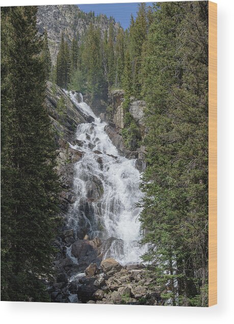 Waterfall Amidst Forest Landscape Wood Print