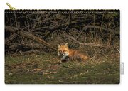 Fox Resting In Sunlit Clearing Zip Pouch