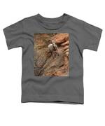 Big Horn Sheep Agile Descent In Zion National Park Toddler T-Shirt