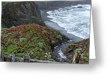 Rocky Coastline With Vibrant Foliage Greeting Card