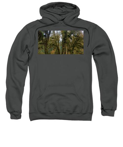 Moss-Covered Forest Trees Sweatshirt