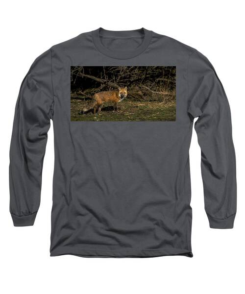 Fox In Sunlit Forest Clearing Long Sleeve T-Shirt