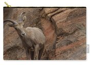 Bighorn Sheep On Rocky Terrain Zip Pouch