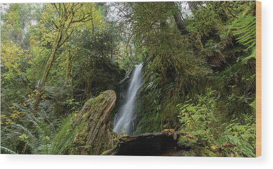 Serene Waterfall in Lush Forest Wood Print